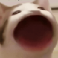 gram2309
